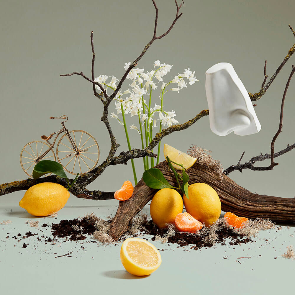 香水(男性用) Penhaligon's Quercus eau de cologne100ml Perfume Penhaligons Quercus Unissex Eau de Cologne | Sephora