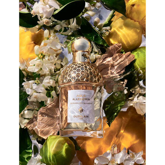 Refil Perfume Guerlain Aqua Allegoria Bergamote Calabria Feminino Eau de Toilette