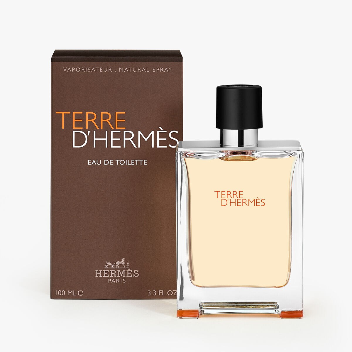 Perfume Hermes Terre d Hermes Masculino Eau de Toilette Sephora